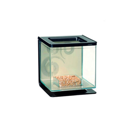 Acuario Marina Betta Kit Zen