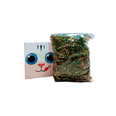 Hierba Deshidratada Catnip Gatos