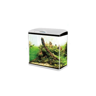 Mini Acuario Sobo 9Lts