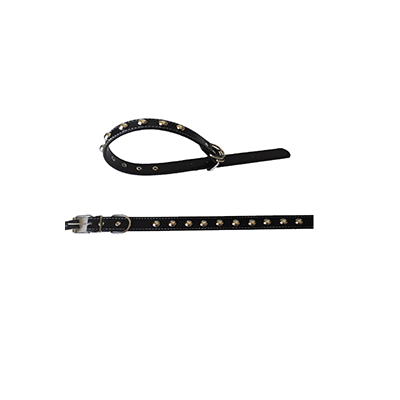 Collar con Tachas - Black Dog
