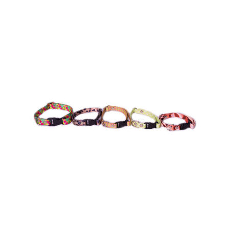 Collar Regulable de Polyester