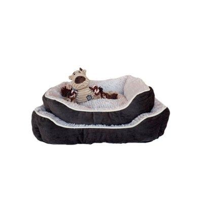 Moises Cordero Rectangular - Union Pet