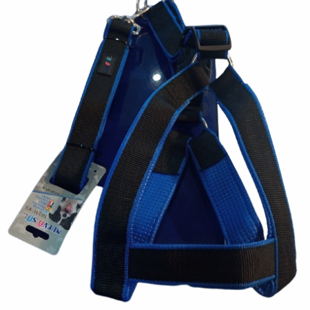Pretal Conjunto Anti tirones