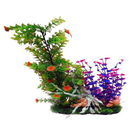 Plantas Surtidas Decorativas