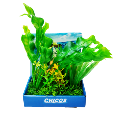 Plantas Surtidas 15cm