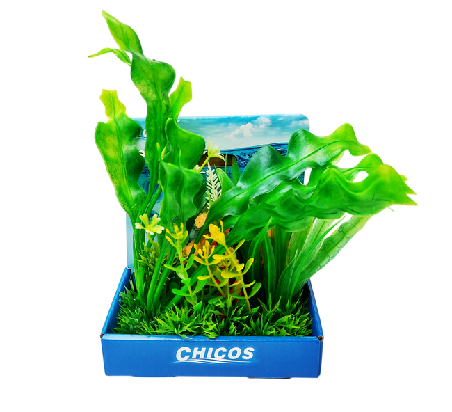 Plantas Surtidas 15cm