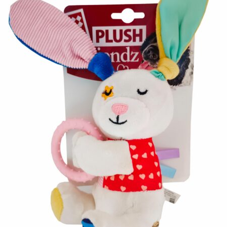 Conejo Con Aro Plush Friendz