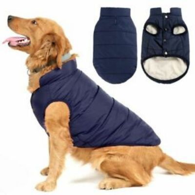 Campera de Cuerina Glee Pet Market