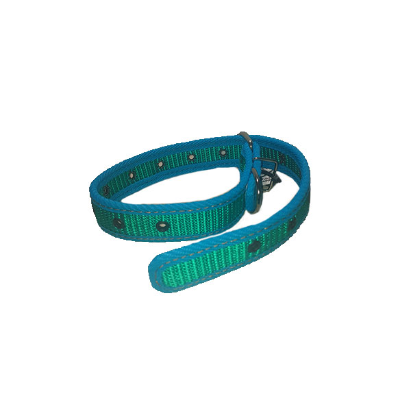 Collar Reforzado con Ribete Black Dog - Imagen 2