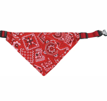 Collar con Bandana Roja